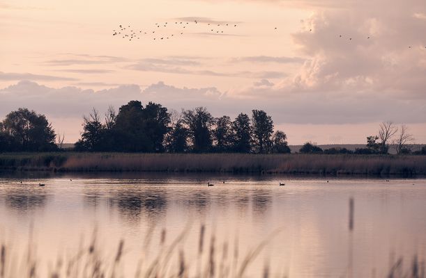 e v e n i n g . t h e m e