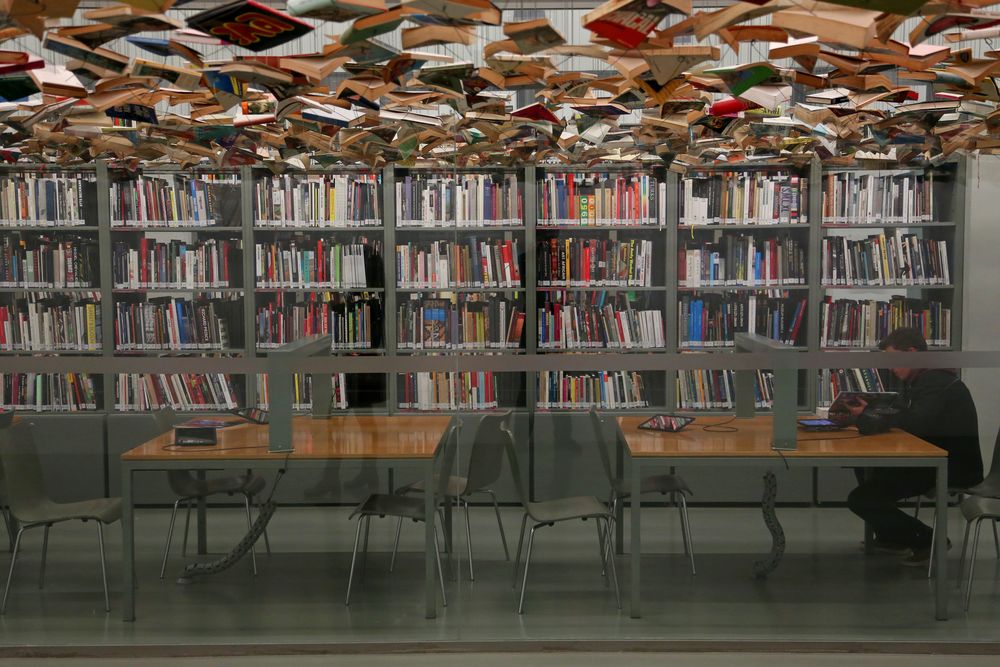 .books flying high. von Lukas Seebauer 