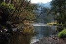 November im Tal der Our by Armand Wagner