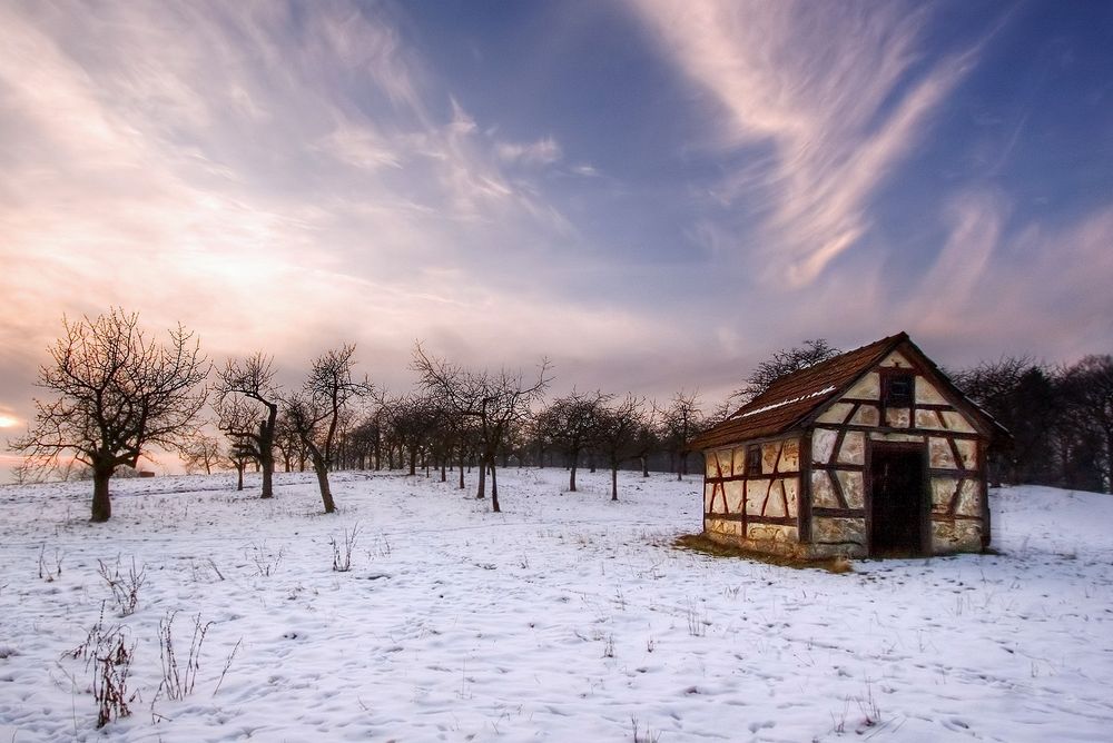 Winterstimmung in der Kirschplantage von Vera Böhm