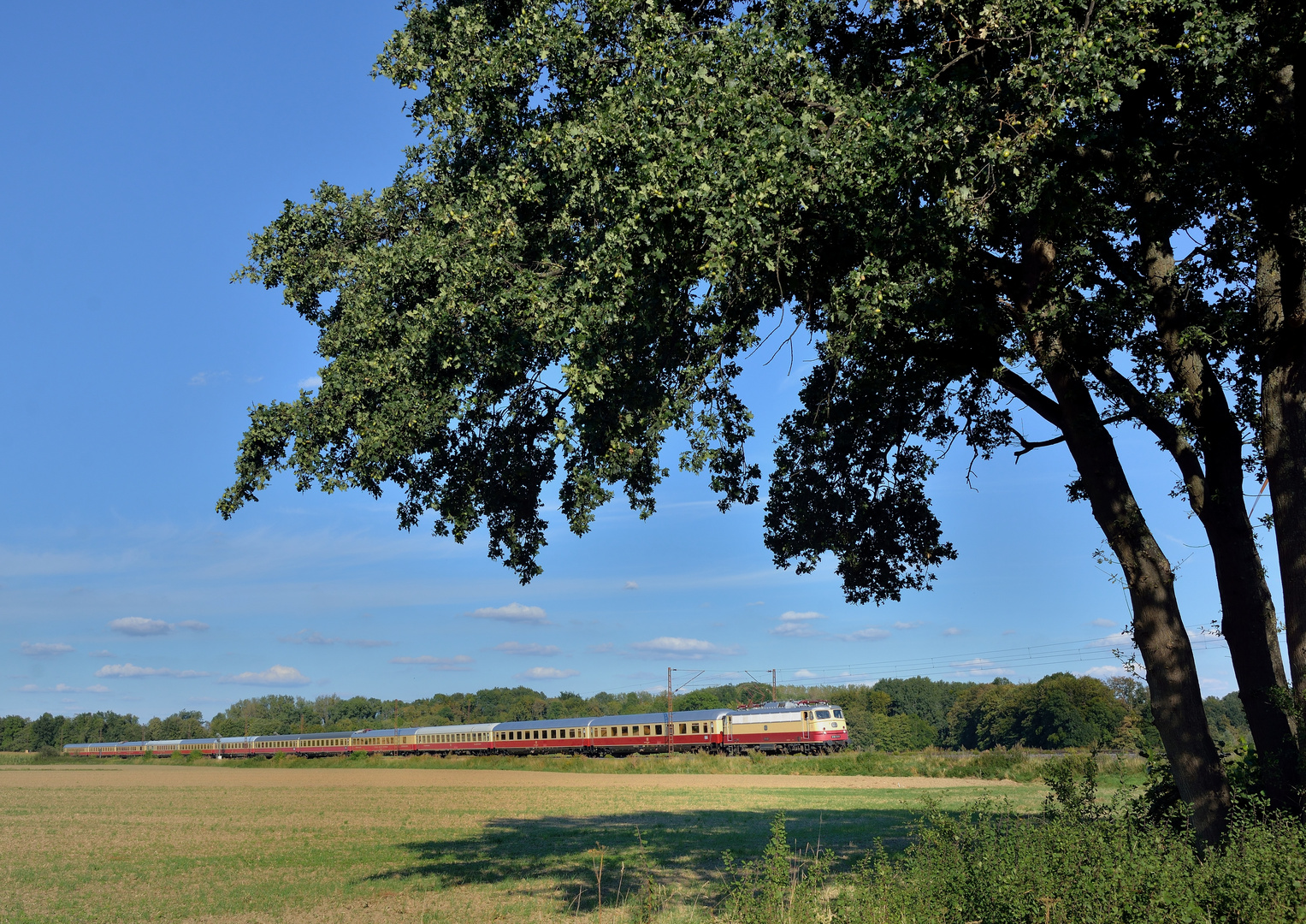 E10 1309 --TRI-- mit dem AKE-Rheingold am 02.09.20 in Nordbögge_203840513740769