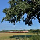 E10 1309 --TRI-- mit dem AKE-Rheingold am 02.09.20 in Nordbögge_203840513740769