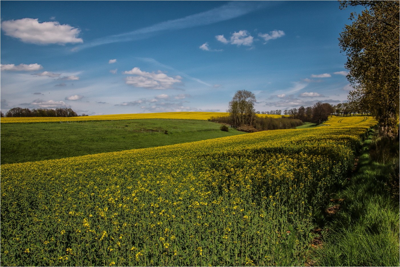 E10 Landschaft 