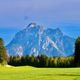 Lwenzahnwiese vor Allguer Bergkulisse