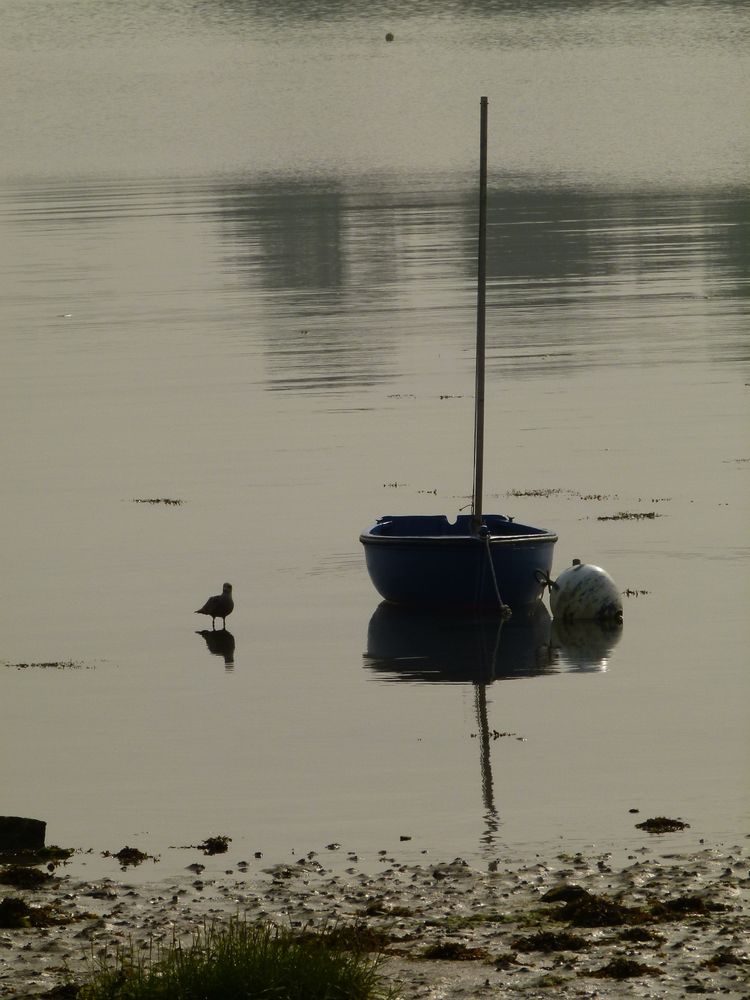 calme matin en bord de mer de Eric V 