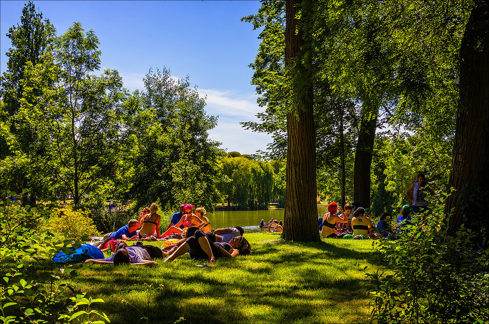 Le bonheur de vivre . de Joëlle Millet 