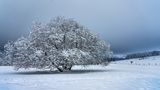 Winter in der Rhön von A K W