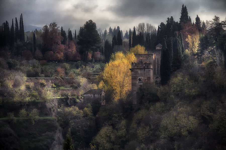 Otoño en los bosques de la Alhambra de Lola Gutiérrez