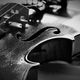 Violine - Spiel aus Glanz und Kontrast