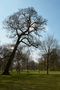 Englischer Garten von Carsten Mundt