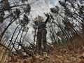 Königin der Wälder von Fotogen-ial 