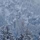 Neuschwanstein im Winter