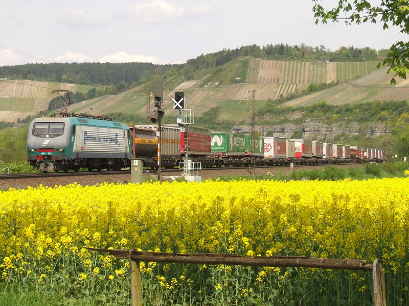 E412 013 im Rapsfeld