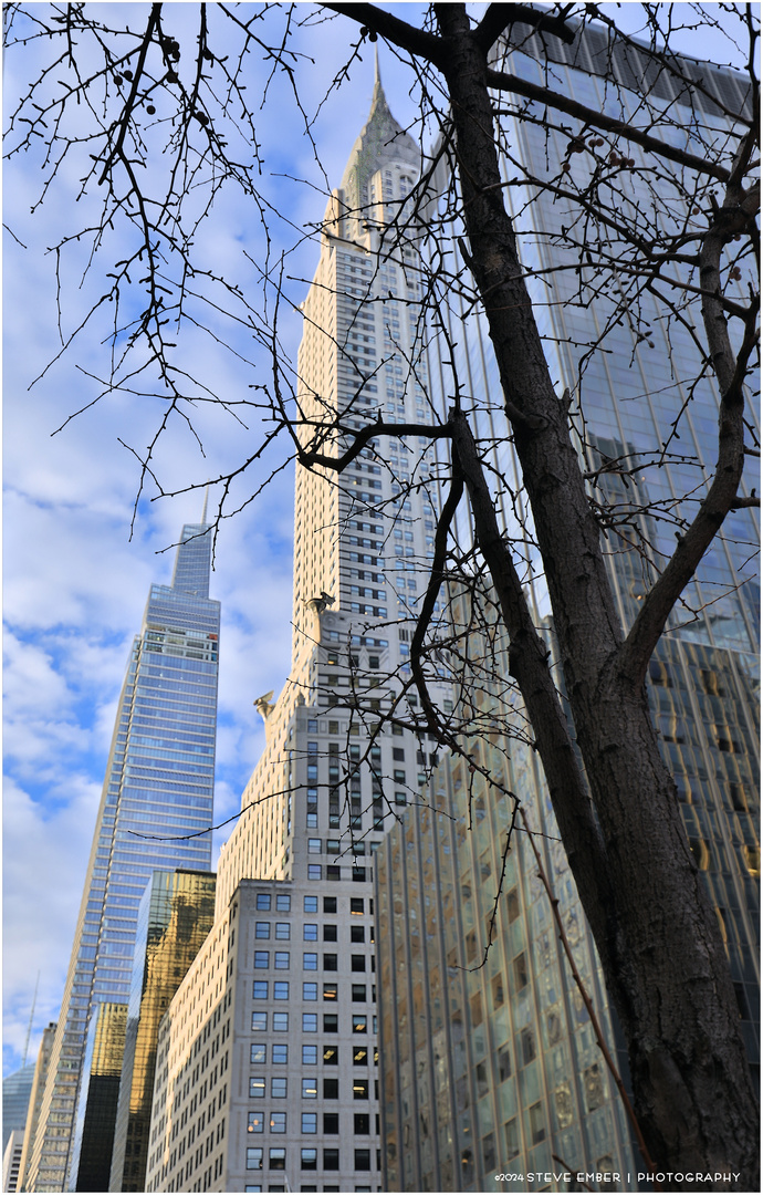 E42Scape No.6 - Winter-Bare Trees, Iconic Towers