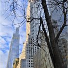 E42Scape No.6 - Winter-Bare Trees, Iconic Towers