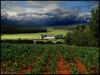 Landschaften - Hilfe für Haiti