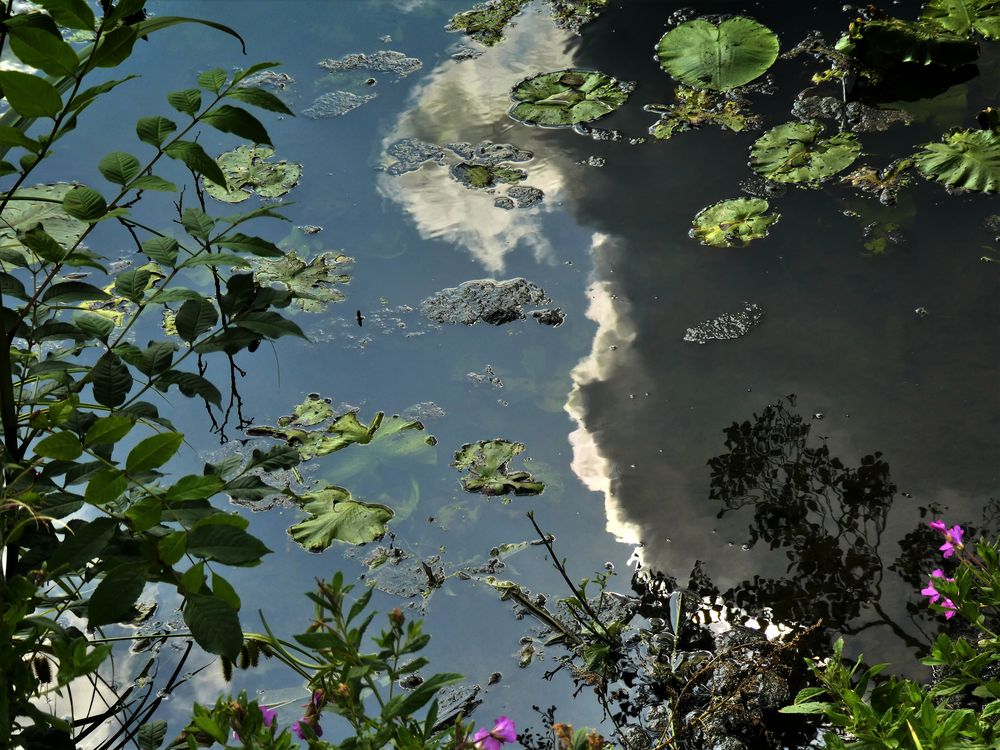 die Wolke von Karin Siggelkow