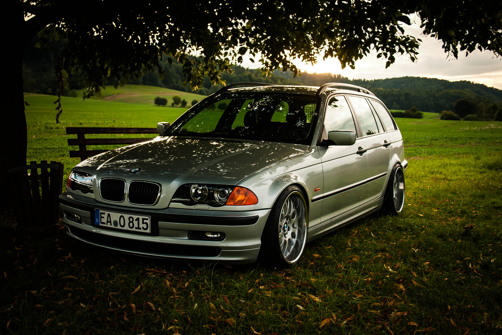 e46 baum