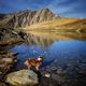 Bergseeidylle am Timmelsjoch