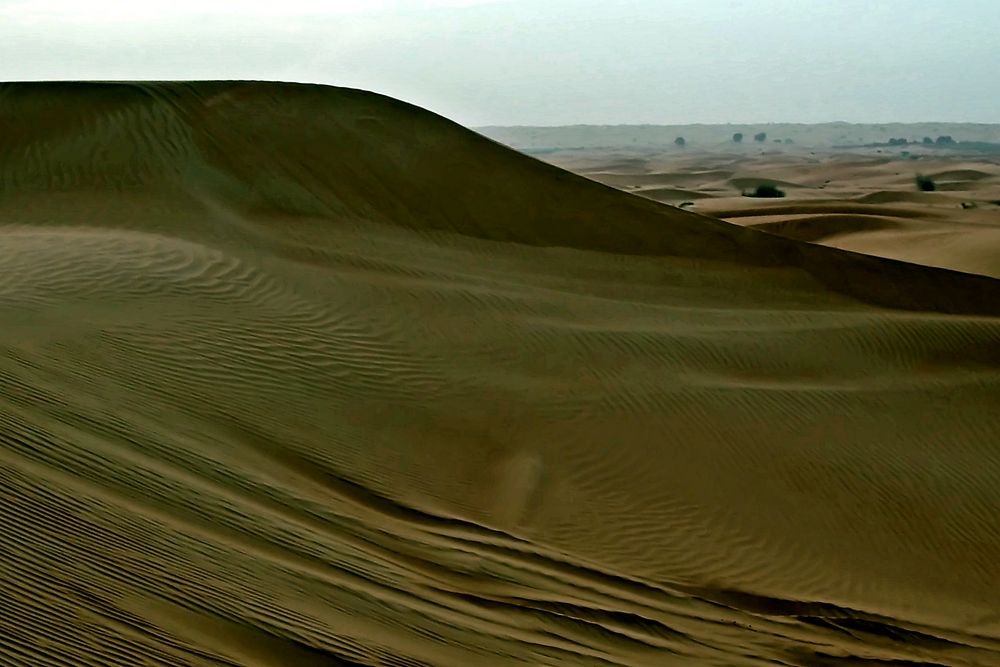 Spuren im Sand von MHANDLER