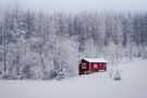 Die rote Hütte by dorisf