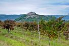 Motovun by rudi roozen 