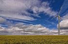 Rapsfeld bei Sefferweich  von DT-Fotografie