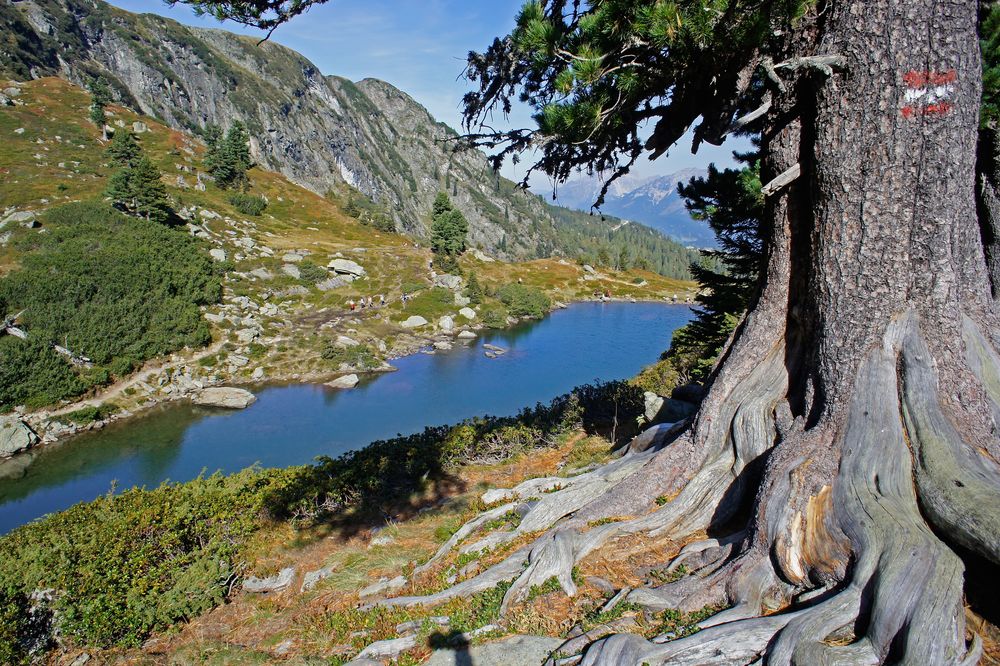 Spiegelsee von Manfred Polak