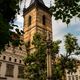 Neustdter Rathaus & Brunnen mit Pestsule - Prag