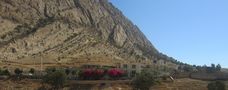 Between Shiraz and Chenar Shahi Jan, Iran by Morteza Pedram Mahmoudi