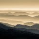 Schwarzwald / Black Forest 