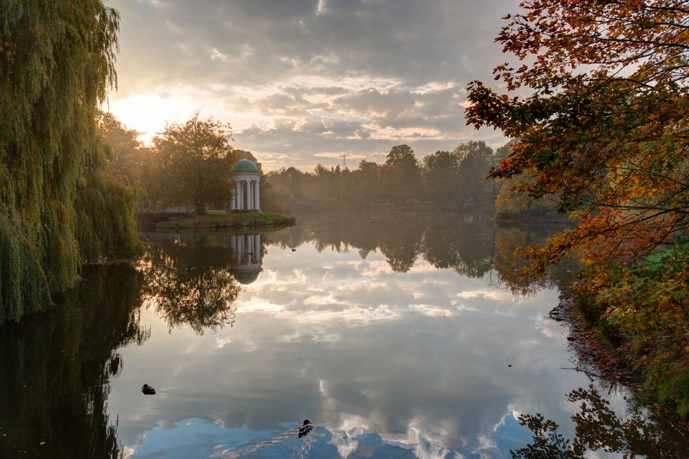 Morgenglanz am Teich  von Tommy Rühle