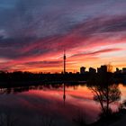 _E6A3351-Sonnenaufgang-Donauinsel