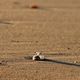 Strand in Belek (Trkei)