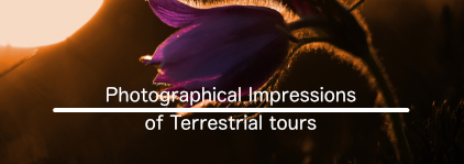 Photographical Impressions of Terrestical tours