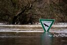 Hochwasser an der Ems von AlexGrs