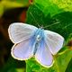 Bluling beim Fotoworkshop