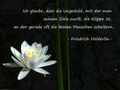 Zitatfotos von fotobirgit