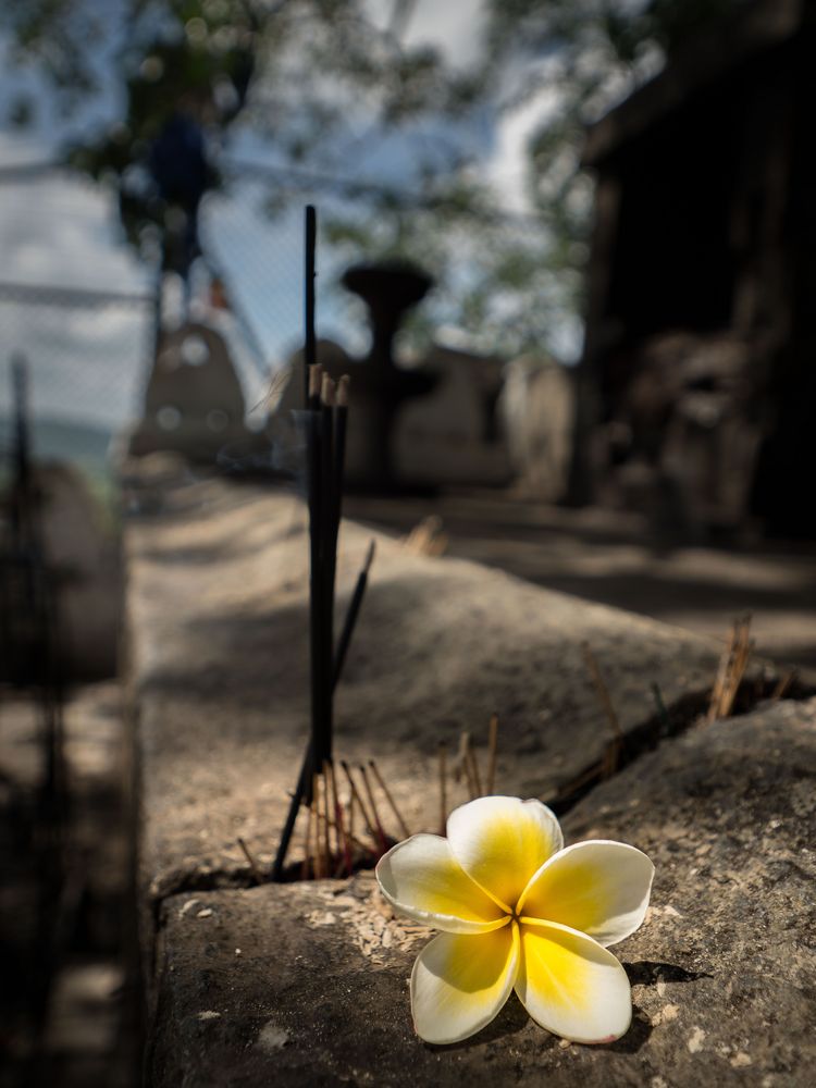 Der Gott der kleinen Dinge (Arundhati Roy) Bild & Foto von Urte Kortjohann Photography aus 04