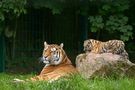 Tierpark Gotha