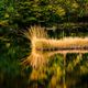 Nonnenmattweiher im Herbst 02