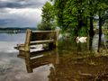 Esondazione, lago di Varese di Roberto 1950