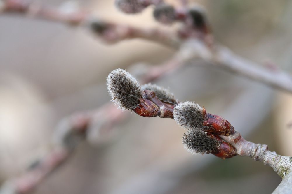 Frühling in Sicht von E Lena