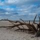 2024 Strandgut in Westerland/Sylt