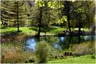 Teich im Schlosspark von Conny11