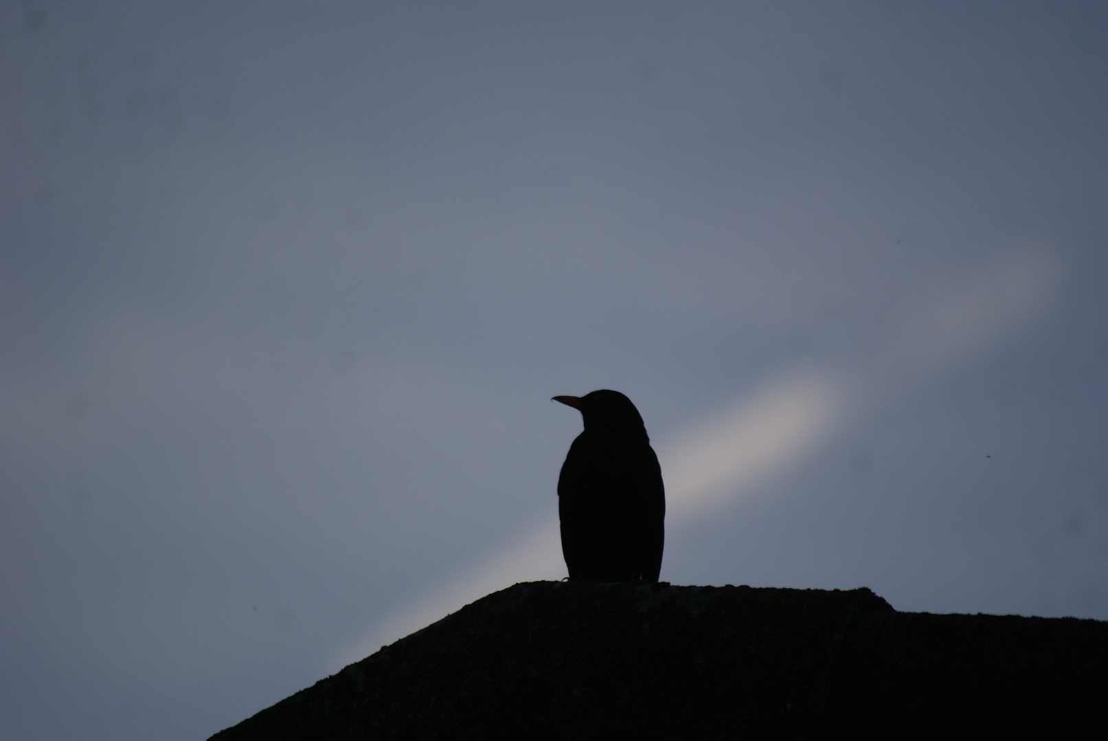 E.A. Poe - The Raven