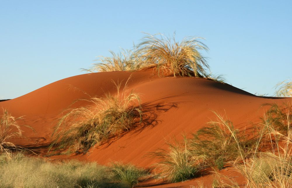  Regenzeit in der Namib von 40rand