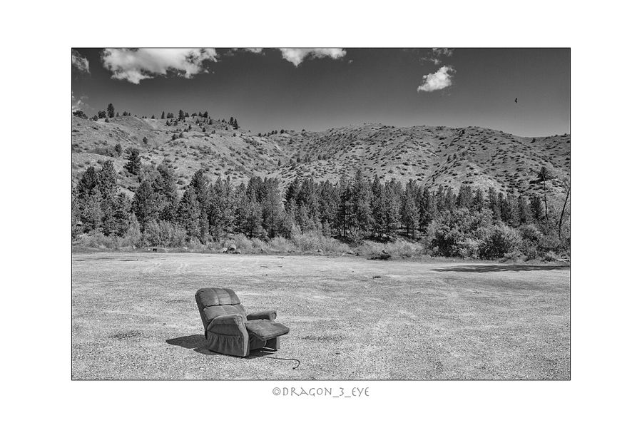 Eagle and Chair 