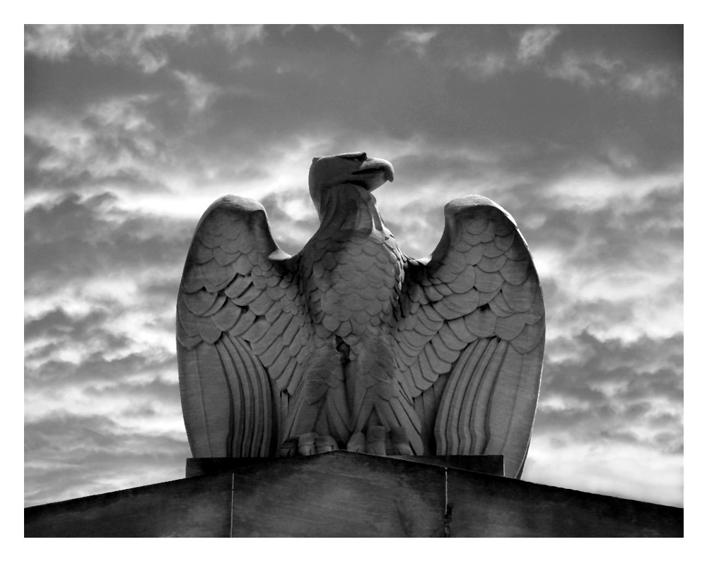 Eagle and Clouds