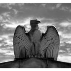 Eagle and Clouds